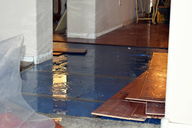Professional Water Damage technician working in Claude, TX